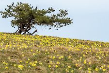 mai 2026_5
